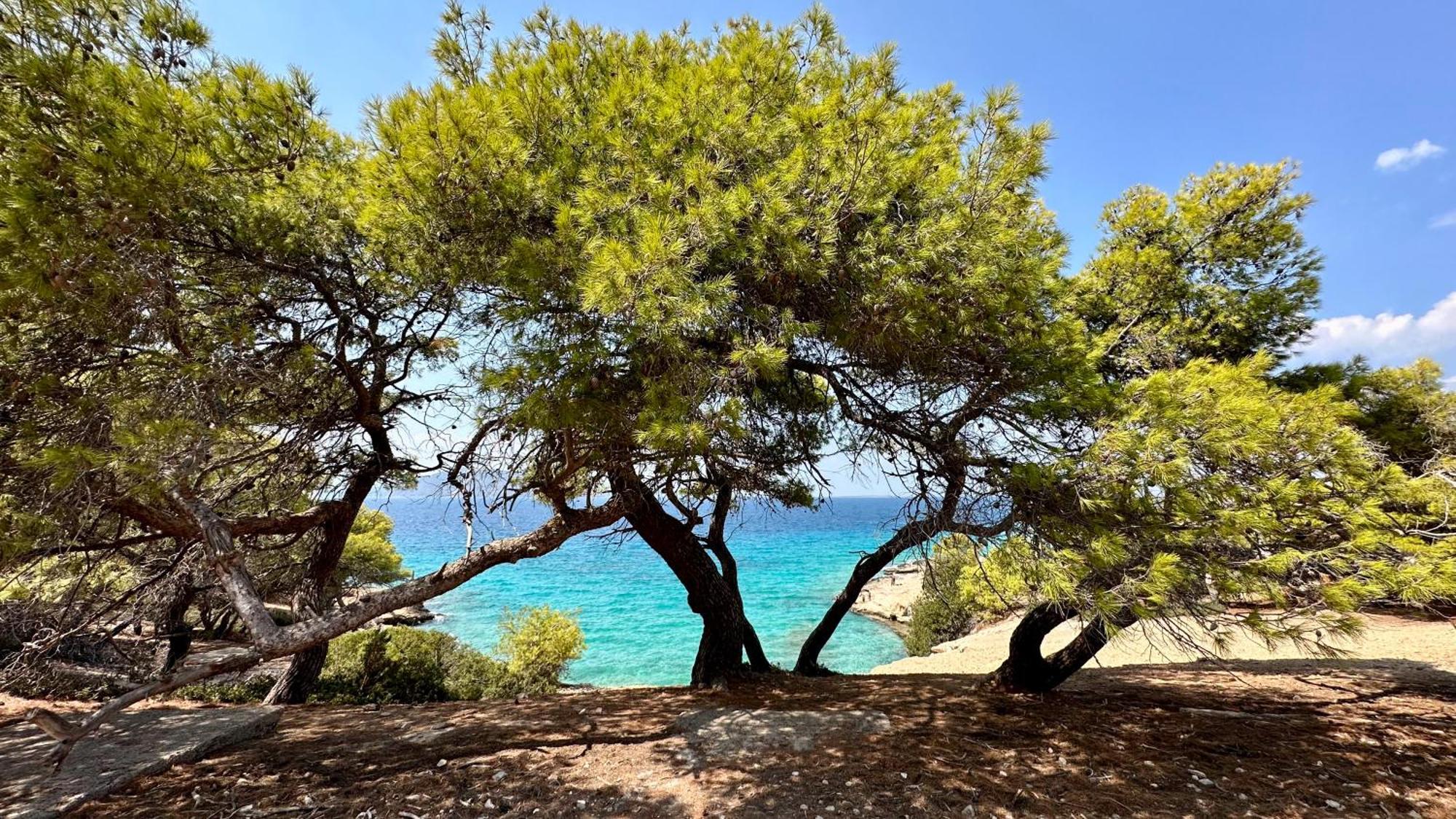 Appartement Vue Sur Mer Soul Family, Egine Aegina Экстерьер фото